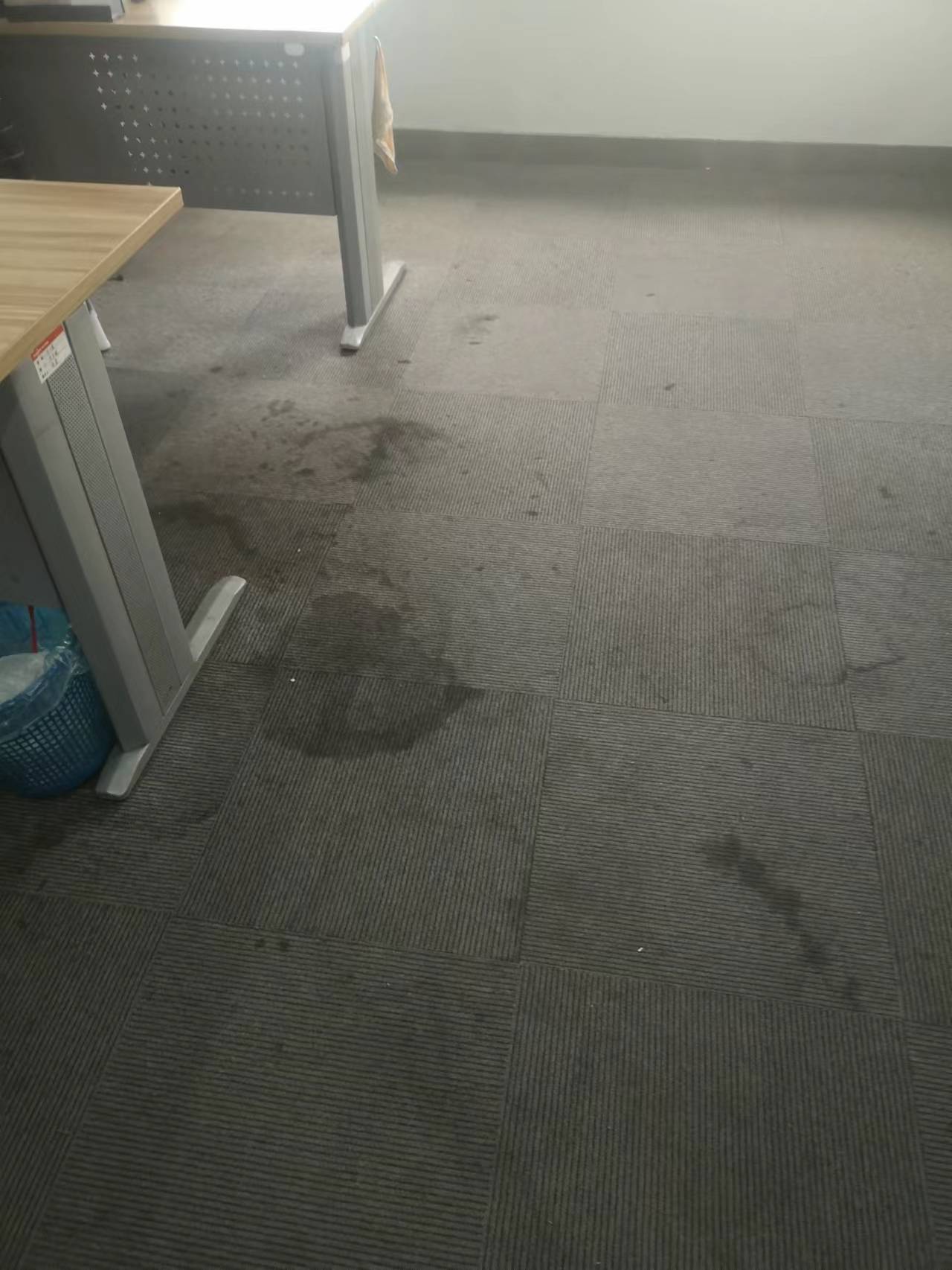 微信图片_20231006093548.jpg